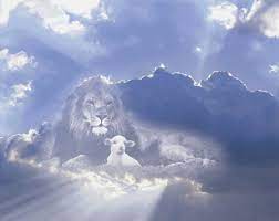 1920 x 1080 jpeg 327 кб. 47 Lion And Lamb Wallpaper On Wallpapersafari