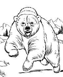 We've got cuts from grizzly bear, sylvan esso, big thief, and more. Angy Bear Coloring Pages For Kids Coloring Pages For Kids Zoo Animal Coloring Pages Bear Coloring Pages Animal Coloring Pages