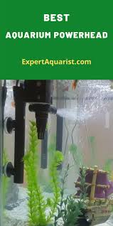 Best Aquarium Powerhead In 2020 Our Top Picks Aquarium Aquarium Air Pump Fresh Water Fish Tank