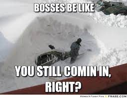 Bosses Be Like Funny Winter Pictures Weather Memes Funny