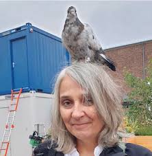 Beiträge zum Thema Interview