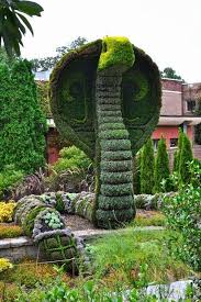 Cobra Mosaiculture Formschnitt Garten Garten Pflanzen Kunst