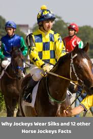 Why Jockeys Wear Silks Talk Funny Stand In The Stirrups And More Interesting Racing Information Horses Jockey Horse Artwork