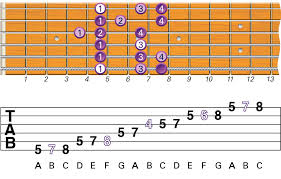 What Are The Best Beginner Guitar Scales To Learn