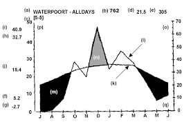 Image result for Cryptolepis cryptolepioides
