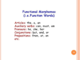 Many words in english consist of a single free morpheme. Unit 6 Morphology Morphology It Is A Branch