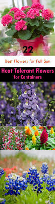 The list below includes flowers that are native mainly to the southern united these can all be grown in containers, pots or planters as well as in the garden bed. Pin On Beauty With Meaning
