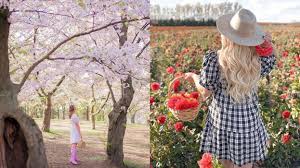 May 12, 2021 · m. Ontario Flower Places Are Like Being Lost In A Painting Narcity