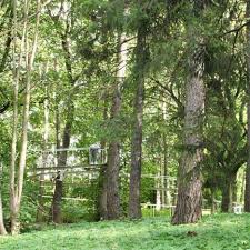 Winding Woods Walkways Landscape Design Wood Walkway Forest