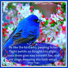Bird Victor Hugo Quotes Quotesgram