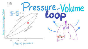 Elastance, also known as the elastic resistance is the reciprocal of compliance, i.e. Pressure Volume Loops Compliance Respiratory Physiology Youtube
