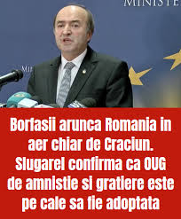 Fostul ministru al justiției tudorel toader confirmă afirmațiile de marți seara ale vioricăi dăncilă, potrivit cărora pe masa guvernului nu a ajuns vreo oug pe amnistie și grațiere. Facebook