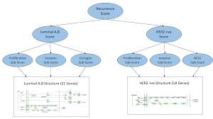 Your sign is governed by the moon, bringer of sensitivity. Machine Learning Is The Future Of Cancer Prediction By Sohail Sayed Towards Data Science