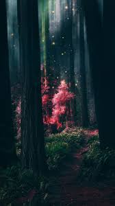 Magical Forest Wallpaper Iphone Android Background Followme Beautiful Nature Wallpaper Nature Wallpaper Beautiful Wallpapers