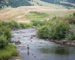 Are Permit Creatures Of Habit?