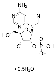 Image result for Adenosine
