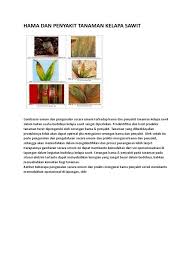 Maybe you would like to learn more about one of these? Hama Penyakit Tanaman Kelapa Sawit