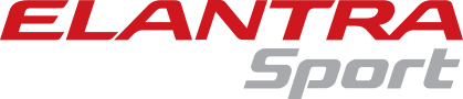 Elantra Sport Turbo Issues, Problems & Complaints