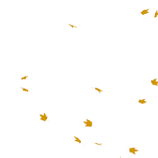 Download this maple leaves falling, maple, autumn, leaf png clipart image with transparent background or psd file for free. 1001 News Leaves Falling Transparent Gif Falling Leaves Png Falling Autumn Leaves Png Transparent Png Transparent Png Image Pngitem Also Leaves Falling Gif Png Available At Png Transparent Variant