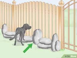 Teaching your dog not to jump up on you and other people can be really. How To Stop A Dog From Digging Under The Fence 8 Steps