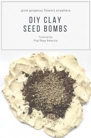 These are diy seed bombs are a bit different to papier mache seed bombs popular online. How To Make Diy Clay Seed Bombs