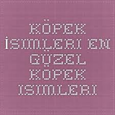 Kopek Isimleri Kopek Evcil Hayvanlar Yaratici