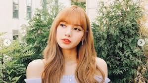 Official website twitter facebook instagram boobpedia. Lisa Blackpink Sosok Anak Mami Yang Berbakat Sejak Kecil