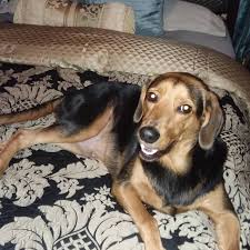 Profile for Nancy Renda