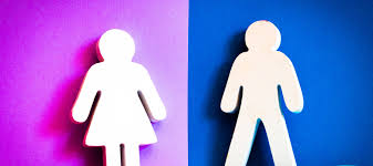 Gender Fluidity Social Construction Philosophy Talk