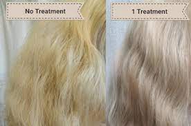 Using hair shears or sharp scissors will help, says cherilyn farris, a hair stylist and color specialist based out of los angeles and kansas city. 15 Things That Ll Repair Heat Damaged Hair