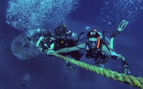 Top 10 Things To Do In Key West Hijinks