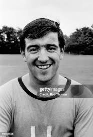 16,314 Terry August Stock Photos, High-Res Pictures, and Images