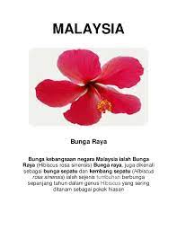 • bunga raya juga dipilih sebagai lambang kebanggaan berdasarkan kepada beberapa sifat bunga raya yang unik.• bentuk lima kelopak yang terdapat pada bunga raya telah dikaitkan dengan lima prinsip rukun negara dimana ia merupakan salah satu strategi untuk mencapai perpaduan. Formula Matematik