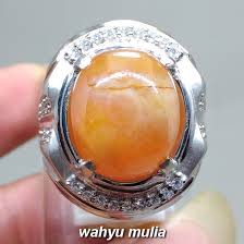 21 desember 2020 14 desember 2020 oleh anaapn10. Cincin Batu Akik Mani Gajah Kuning Asli Kode 1520 Wahyu Mulia