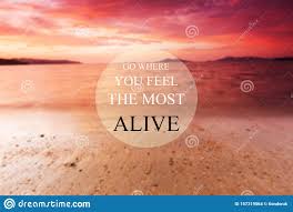 He liked fishing and seemed to take pride in being able to like such a stupid occupation.. Sunset And Fishing Quotes Blurry Beach At Sunset Background With Inspirational Quote Go Dogtrainingobedienceschool Com