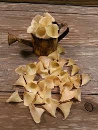 Check spelling or type a new query. 50 Dried Bells Of Ireland Dried Flowers Good Luck Small Etsy