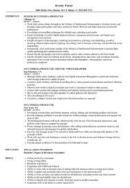 • the most crucial section of your resume is undoubtedly the summary. Multimedia Producer Resume Samples Velvet Jobs