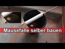 Mausefalle Aus Eimer Selber Bauen Diy Lebend Mausefalle Selber Machen Anleitung Youtube Mausefallen Mausefalle Selber Bauen Selber Machen Anleitungen
