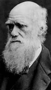 Les évolutionnistes, qui n'ont aucune idée de l'éternité, non plus que de  tout ce qui est de l'ordre métaphysique, appellent volontiers de ce nom une  durée indéfinie, c'est-à-dire la perpétuité, alors