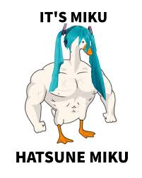 images?q=tbn:ANd9GcQ6KYZSU0crD5kJ-nMPou_cUQ5r7_lJvAkZKg&s