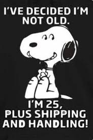 Pin By Jacqueline Wynne On Peanuts Snoopy Funny Happy Birthday Quotes Funny Snoopy Quotes