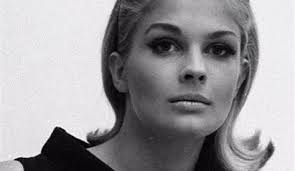 A Timeless Icon Meet Candice Bergen A Hollywood Icon With A Storied Career  And Personal Charm