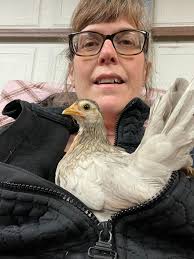 Northeast Pennsylvania backyard chicken care tips needed