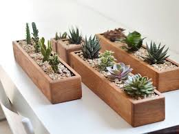 Then add coarse ingredients such as grit, gravel, or perlite to create a how to plant a cactus in a new potting soil mix. How To Prepare Well Draining Soil For Succulent Plants With Pictures Succulents Network Plants Succulents Succulents Diy
