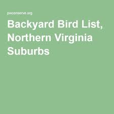 Killdeer Bird With White Ring Around Neck Backyard Bird List Northern Virginia Suburbs Backyard Birds Backyard Northern Virginia