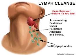 Cleanse Your Lymph Nodes Before It S Too Late Http Nomorepillsnomorepain Com Detoxification Cleanse Cleanse Lymph Nodes Cleanse