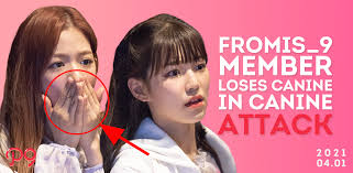 Initialism of from idol school; Fromis 9 Member Loses Canine In Canine Attack Promise Publications