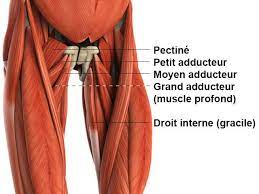 We did not find results for: Comment Muscler L Interieur Des Cuisses Le Guide Vicodellaforma