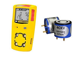Best in class block detection with bw technologies gasalertmax xt ii — confined space kit. Bw Sr X2v Gasalertmax Xt Ii New Replacement O2 Sensor Buy Online In Cook Islands At Cook Desertcart Com Productid 55942093