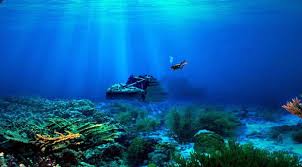 Maka dari itu, hingga kini titik terdalam di palung tersebut dinamakan challenger deep, sesuai nama kapal ekspedisinya hms challenger. Menyelam Di Palung Terdalam Dunia Pria Ini Temukan Sampah Plastik Klikpositif Com Media Generasi Positif